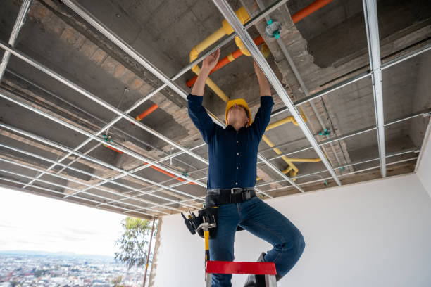 Best Clogged Drain Plumber  in Fairmont City, IL